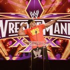 How to Throw a WWE-Themed Birthday Party for Children