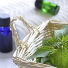 Peppermint Oil for a Cough