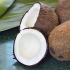 Coconut Oil Extraction Methods