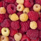 How to Freeze Raspberries