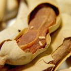 Cooking Substitute for Tamarind Concentrate