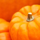 Games for a Halloween Birthday Party