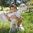Actividades para niños cerca de Hickory Hills, Illinois