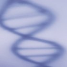 The Effects of Radiation on DNA Mutations
