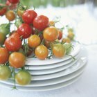 How to Blanch & Freeze Tomatoes
