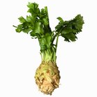 Can You Eat Celery Root Without Cooking It?