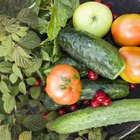 Ecological Footprint of a Vegan Diet Vs. Carnivorous Diet