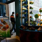 The History of Skechers Shoes