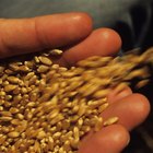 How to Make Bulgur for Breakfast