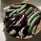 Can You Use an Eggplant if It Has Rotten Spots?