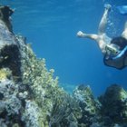 How to Keep Your Snorkel Mask From Fogging Up