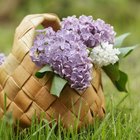 How to Celebrate May Day