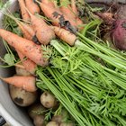 Nutrition of Organic Vs. Non-organic Fruits and Vegetables