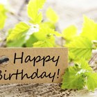 How to Convey Birthday Wishes