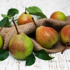 How to Cook Fresh Pears