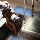 Experimento de ciencias con jabón antibacterial, detergente y sanitizante para manos