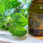 Peppermint Oil for Itching