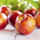 How to Preserve Nectarines