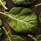 The Healthiest and Best Way to Cook Collard Greens