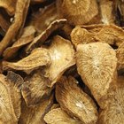 Burdock Root for Hair