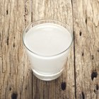 Why Is Milk So Fattening?