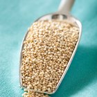 Nutritional Substitutes for Rice