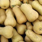 How Many Calories Are in Butternut Squash?