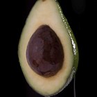 Does Avocado Oil Make Hair Grow?