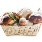 How to Soak Porcini Mushrooms