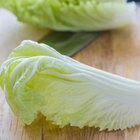 How to Prepare Romaine Lettuce