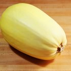 Calories in Spaghetti Squash Seeds
