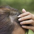What is Hair Composed of?