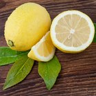 How to Remove Pimple Scars Naturally