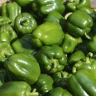 How Do I Blanch Green Peppers?