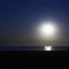 Organismos que brillan en la arena húmeda de la playa