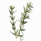 How to Make Nettle, Rosemary and Sage Hair Tonic