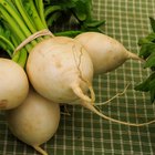 How to Grill Turnips