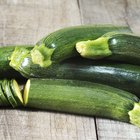 How to Freeze Squash & Zucchini