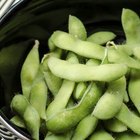 List of High Protein Vegetables