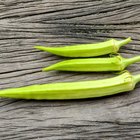How to Cook Fresh Whole Okra