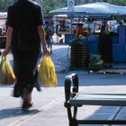 Los diferentes tipos de pulgas