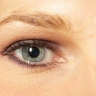 How to Make Eyebrows Grow in One Direction