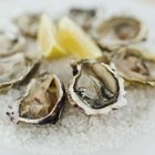 Aphrodisiac Foods List