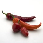 How to Make Chipotle Peppers in Adobo Sauce