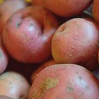How to Cook Petite Red Potatoes