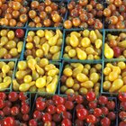 Consequences of Not Eating Fruits & Vegetables
