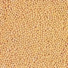 How to Cook Soybeans in a Slow Cooker