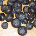 Blueberries for Hair Growth