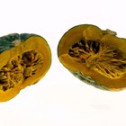Substitutes for Kabocha Squash