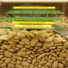 How to: Crock-Pot Lima Bean Soup